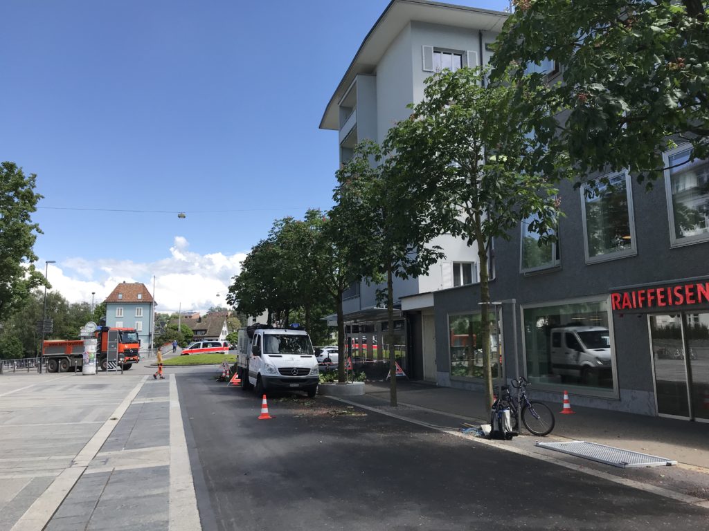 Baumpflege für die Stadt Adliswil