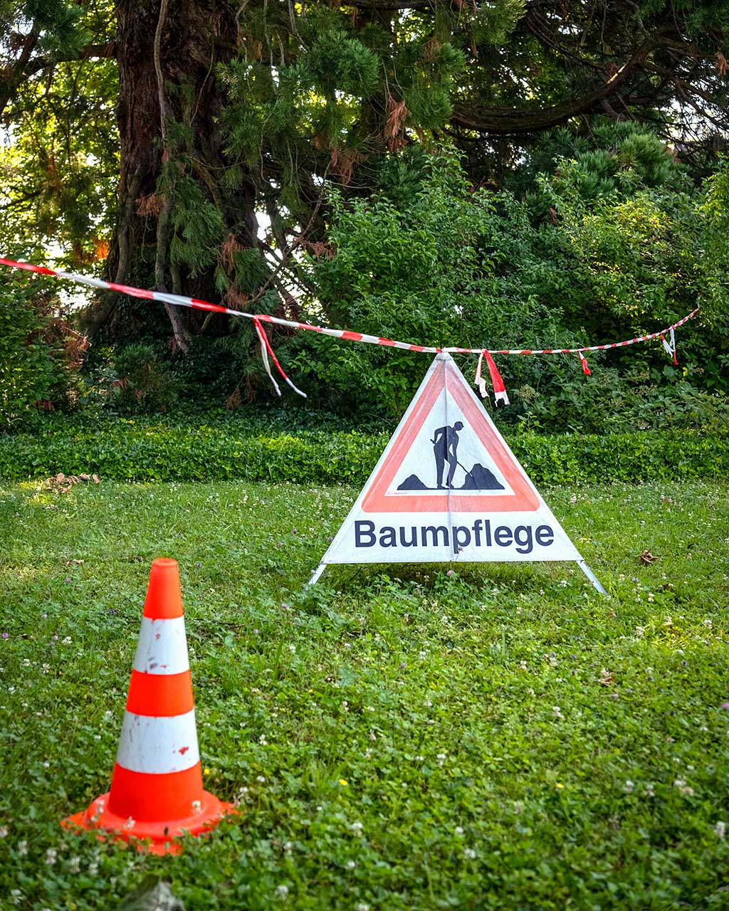 Signalschild für die Baumpflege