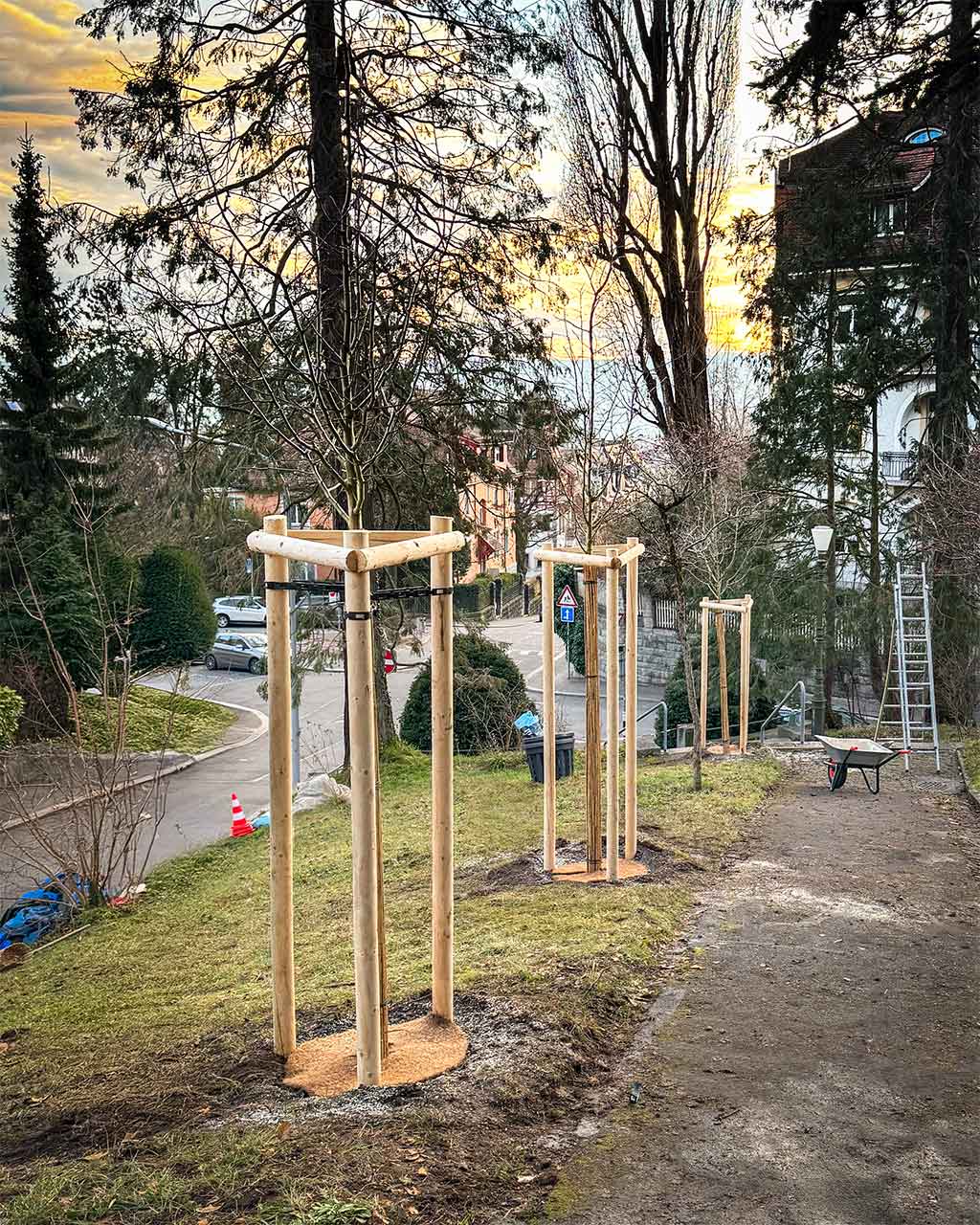 Durch Arbor Art gepflanzte Bäume in einem Park in Zürich