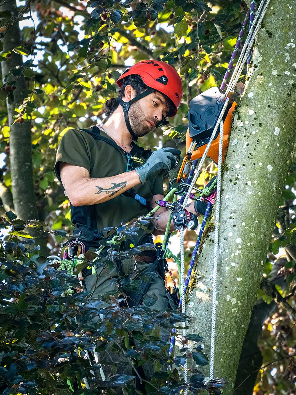 Mitarbeiter von Arbor Art prüft den Seilzug