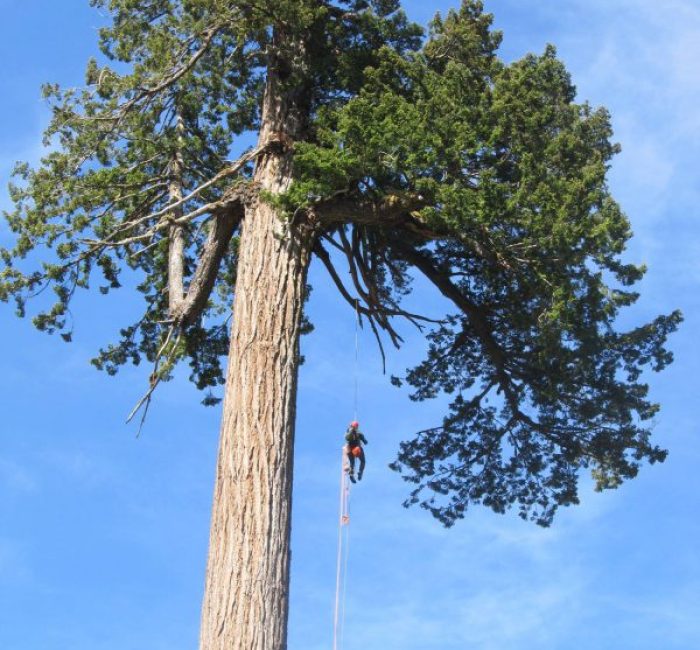 Silvio Rütter auf Big Lonley Doug