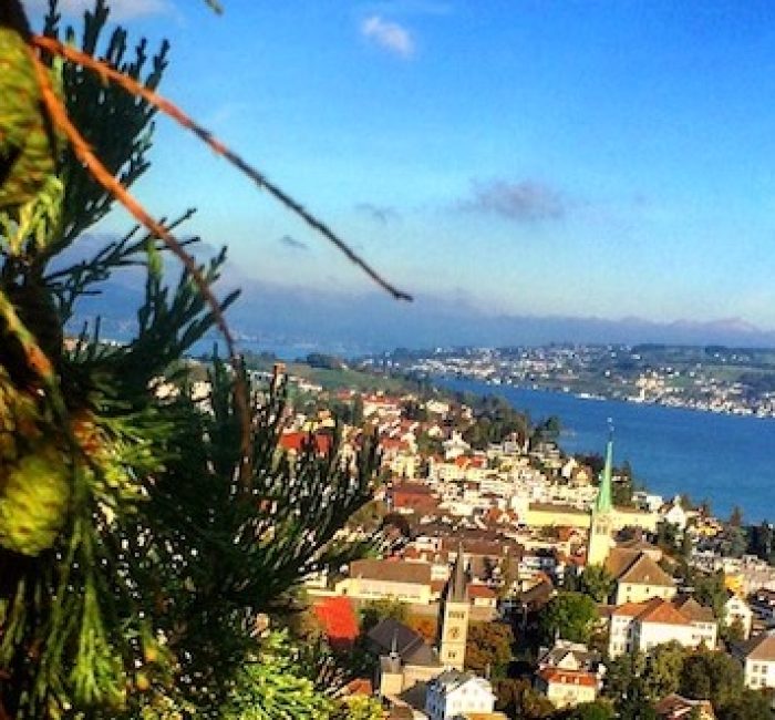 Ausblick richtung Zürich