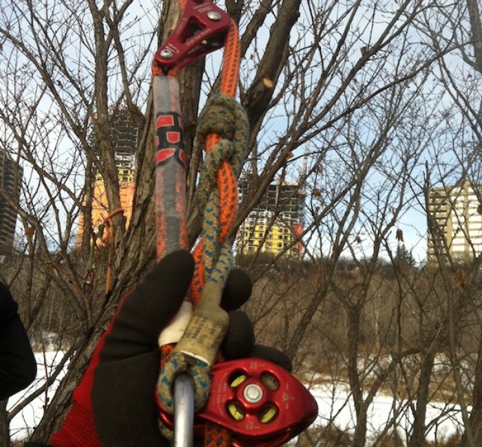 Baumpflege Zürich Rope wrench