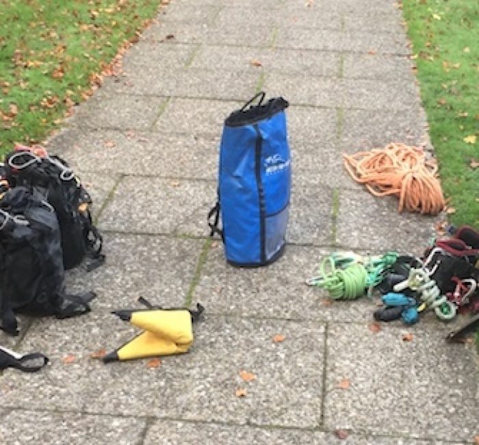 Baumpflege in Rüschlikon