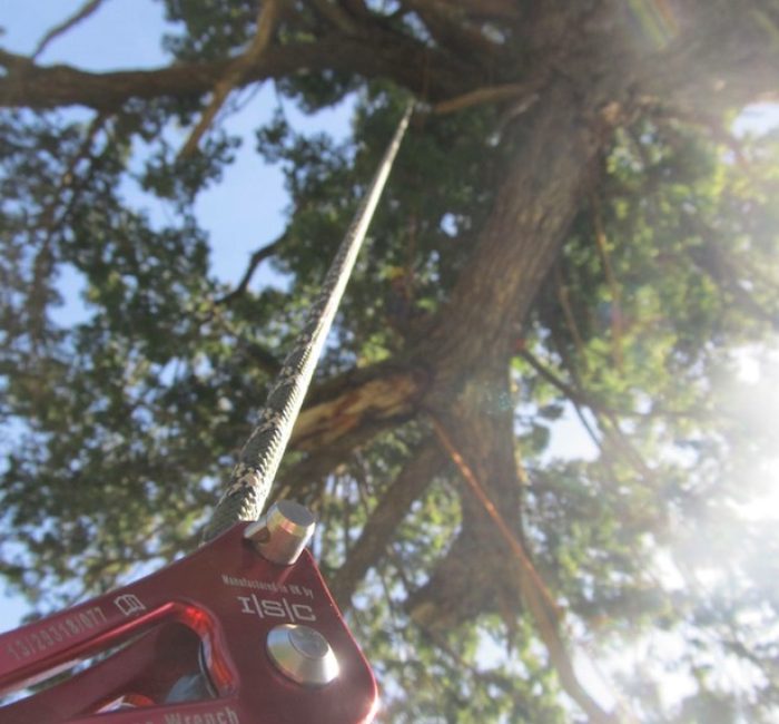 Baumpfleger in der Freizeit