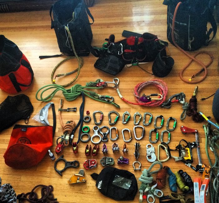 Baumpflege mit Sicherheit