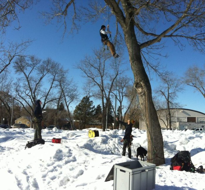 Kronenpflege Esche Kilchberg ZH