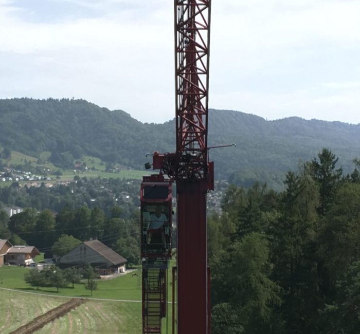 Baumpfleger am Hacken eines Krans