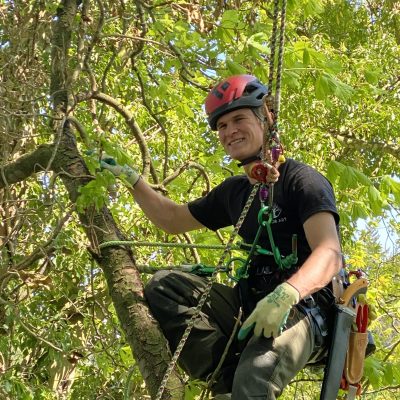 Arbor Art - Leon Prinz