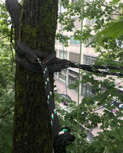 Einbau Kronensicherung für Grünstadt Zürich