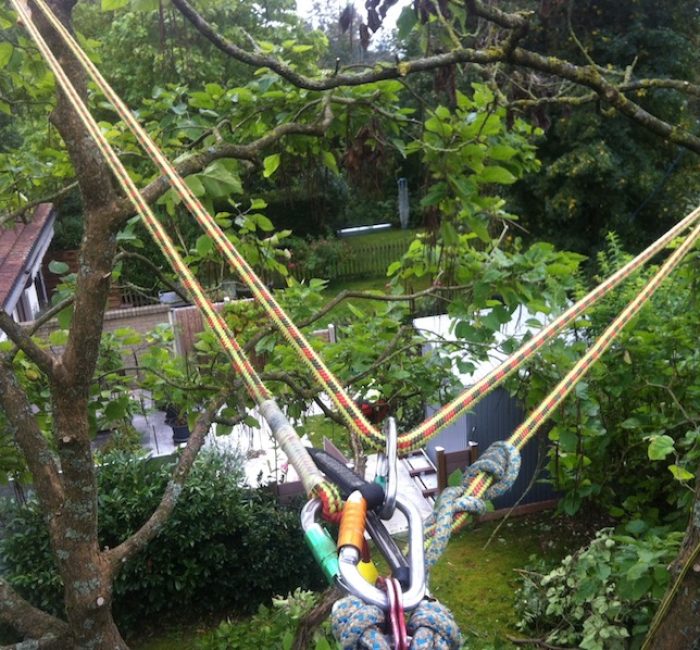 Baumpflege in Winterthur, Zürich