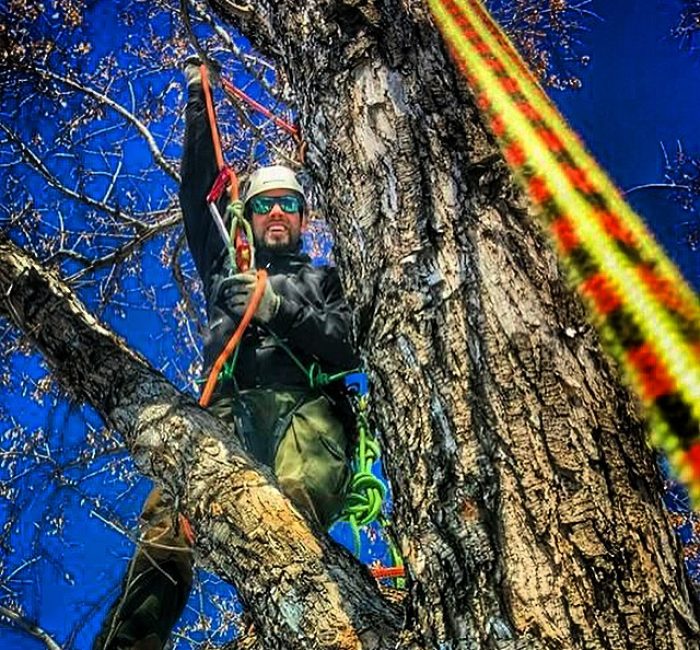 Kronenpflege Thalwil